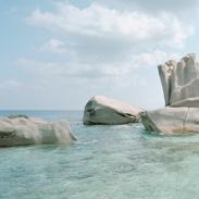 paradis_s19
