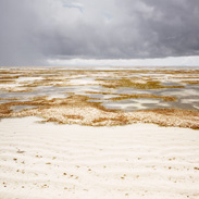 paradis_s9